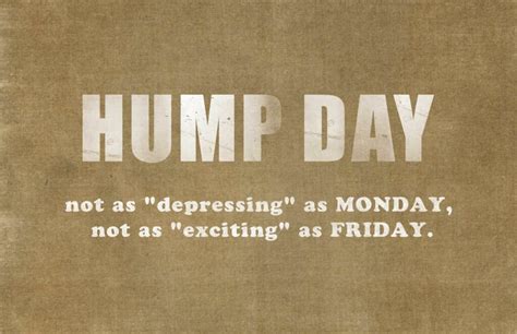 Happy Hump Day Quotes - ShortQuotes.cc