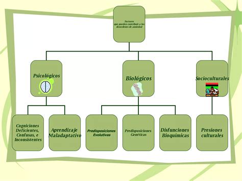 Principales Trastornos Psicologicos Ppt