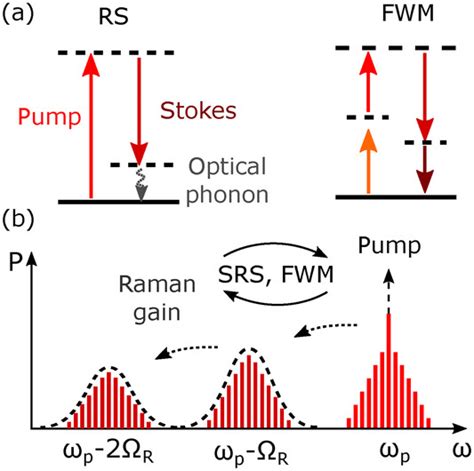 Kerr Frequency Comb Interaction With Raman Brillouin And Second Order