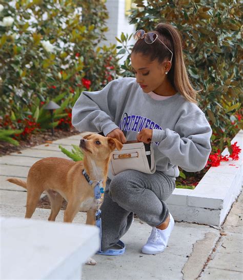 Ariana Grande With Her Famous Pup Toulouse In La Gotceleb