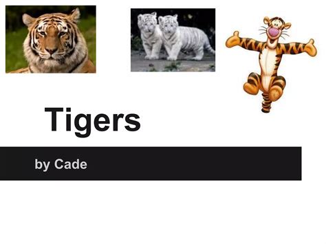 Tigers Beide Pdf 10