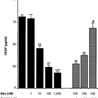 Basal Release Of Vegf From Ttt Gf Cells During A H Incubation