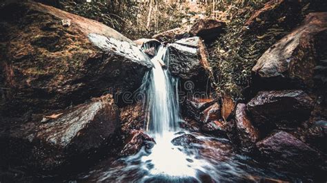 Waterfall in hidden forest stock image. Image of scenery - 274947245