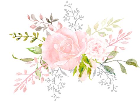 Hand Painted Pale Pink Flower Png Transparent Portable Network