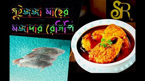 গুইজ্জা মাছ রান্না Rita Fish Recipe Rita Fish Cooking Rita Fish