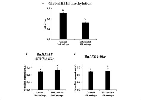 Effects Of Bix 01294 Long Treatments On H3k9 Methylation Levels And