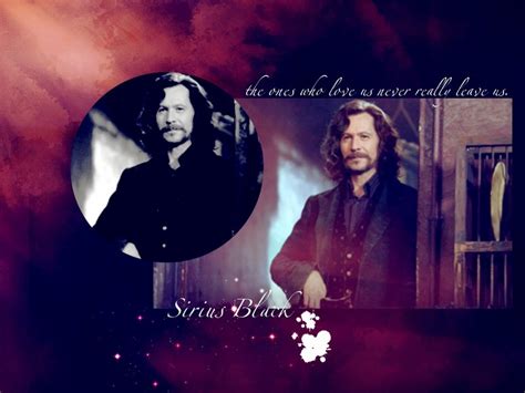 Sirius Black - Gary Oldman Wallpaper (209945) - Fanpop