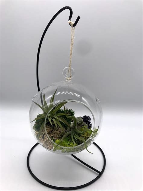 Air Plant Glass Globe W Stand Bulb Hanging Planter Pot Etsy