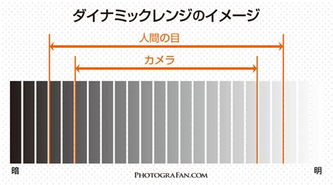 カメラのダイナミックレンジと白飛び・黒潰れの関係 フォトグラファン