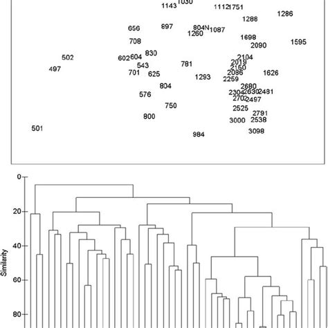 Mds And Dendrogram Based On Bray Curtis Similarity Of Fourth Root