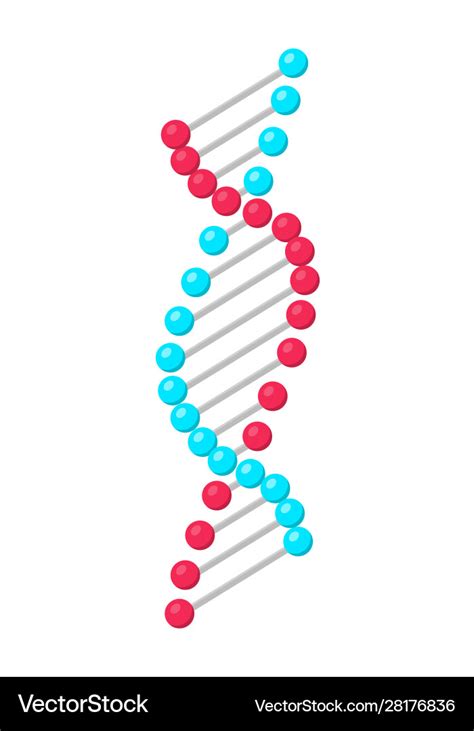 Aggregate More Than Dna Structure Drawing Best Nanoginkgobiloba Vn