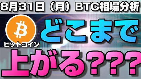 【仮想通貨】ビットコインどこまで上がる？今後の値動きは？1時間足の方向性と来週の値動きについて。ローソク足だけでbtcの今後の相場を分析