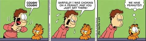 10 Funniest Garfield Comics Of All Time