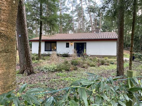 De 15 Mooiste Huisjes In Het Bos Bijzonder Plekje