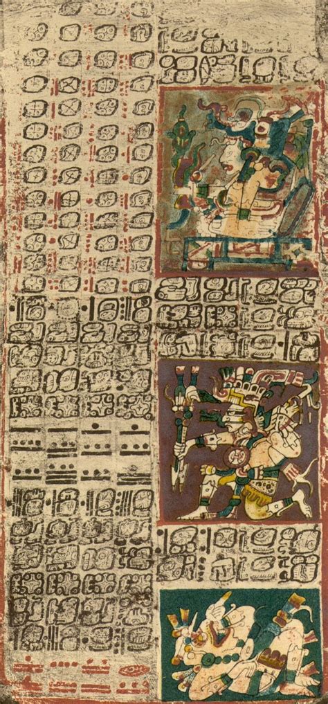 A Portion Of The Dresden Codex Mayan Astrological Ritualistic