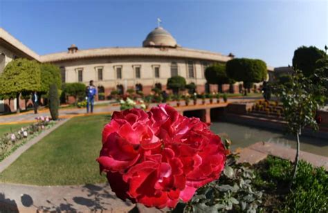 Rashtrapati Bhavan S Mughal Gardens Will Now Be Called Amrit Udyan A