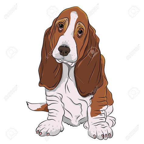 basset hound clipart 20 free Cliparts | Download images on Clipground 2024