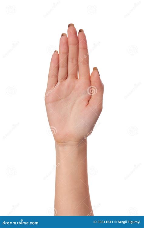 Female Palm Hand Gesture Isolated On White Stock Image Cartoondealer