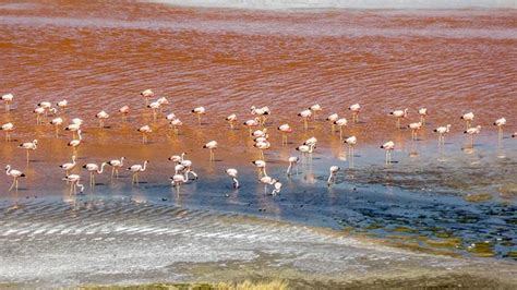 Salar De Uyuni Le Plus Grand D Sert De Sel Au Monde D Sert De Sel