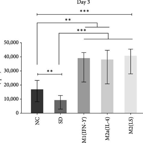 Effect Of Conditioned Media From Differently Activated Macrophages On