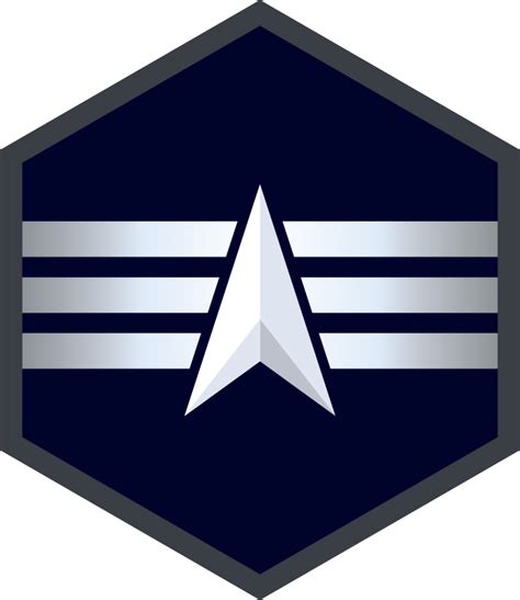 DVIDS - Images - USSF Enlisted Rank Insignia [Image 4 of 10]