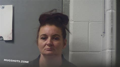 Goerner Jessica L Mason County Mugshots Zone