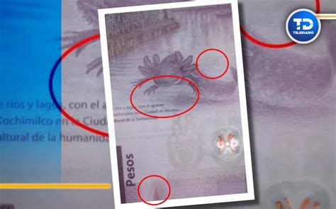 Billete De 50 Pesos Del Ajolote Se Vende En 3 Millones Por Este Error