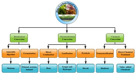 Sustainability Free Full Text Importance Of Blue Carbon In