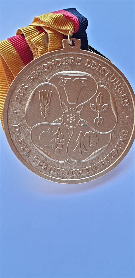 Medaille F R Besondere Leistungen In Der Beruflichen Bildung Bronze