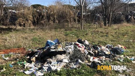 Parco Di Centocelle Terra Dei Fuochi Un Disastro Ambientale