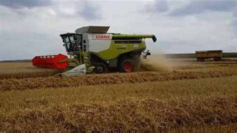 Weizen Dreschen Mit Claas Lexion Terra Trac Youtube