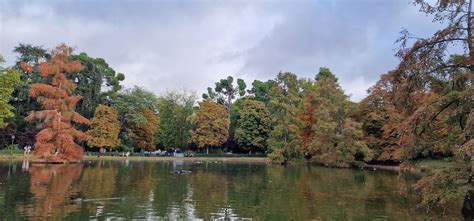 Otoño en el Retiro 2 Madrid Pepe Choclan Flickr