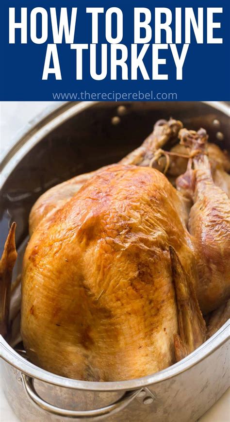 simple turkey brine for air fryer 4
