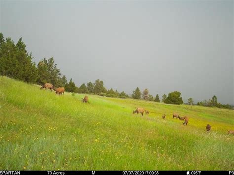 2,315 acres in Musselshell County, Montana