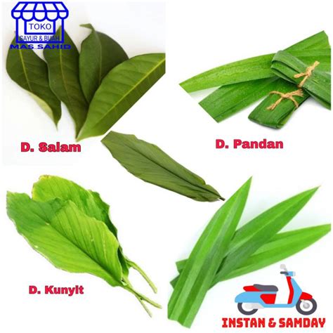 Jual Daun Pandandaun Kunyitdaun Salam Shopee Indonesia