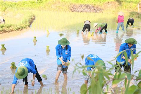 Mùa Hè Xanh” Mùa Trao Gửi Những Tấm Lòng