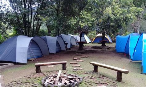 11 Tempat camping di Puncak, 1 khusus untuk camping keluarga