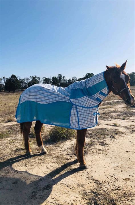 Blue Hybrid Mesh Cotton Ripstop Combo Payless Saddlery