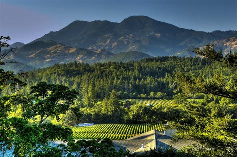 Average Cost Of Living In Napa California at Larissa Morning blog