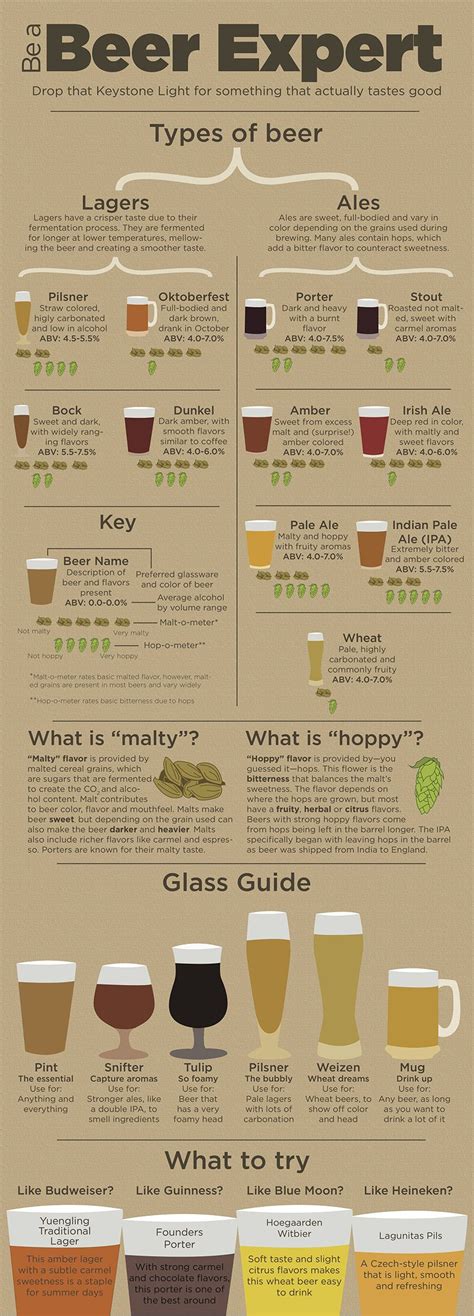 Infographic Provides Guidance For Non Craft Beer Drinkers Craft Beer