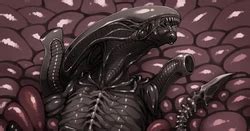 Artist Hitokuirou E Hentai Galleries