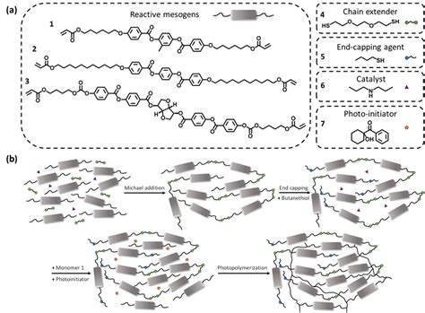 (a) Structures of the components used for preparing the oligomers and ...