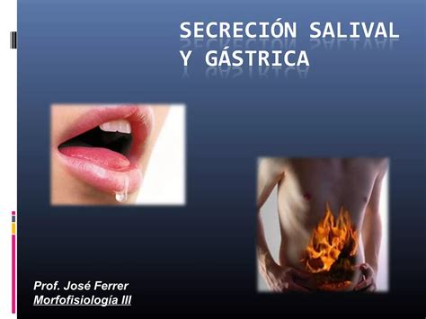 Secreción salival y gástrica 2013 PPT