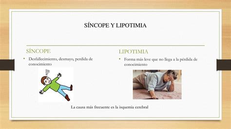 Lipotimia Sincope Y Desmayo Infoupdate Org