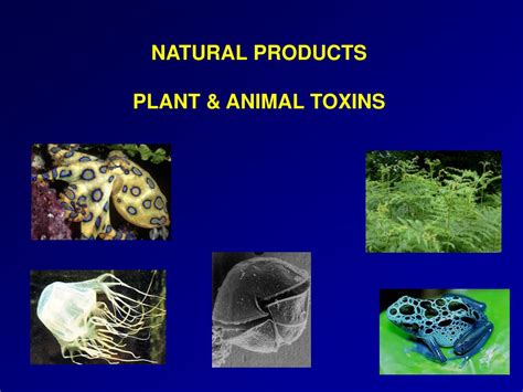 Ppt Natural Products Plant And Animal Toxins Powerpoint Presentation