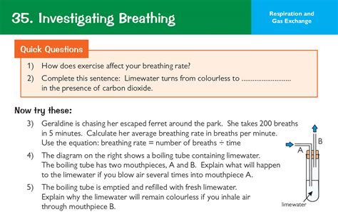 New Grade 9 1 Edexcel International GCSE Biology Revision Question