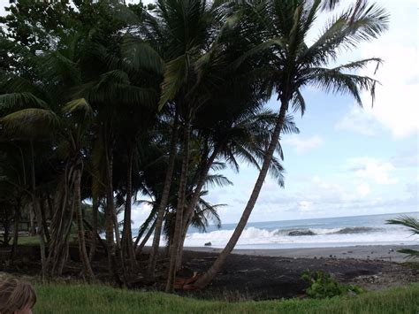 Decouverte De La Martinique Par La Famille Urlacher Les Plages De La