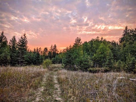 What is Green Burial? – Green Burial Society of Canada