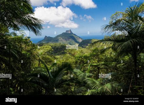 Pedra da Gavea mountain seen from The Tijuca Forest ( Floresta da ...