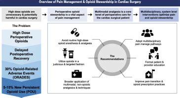 Pain Management And Opioid Stewardship In Adult Cardiac Surgery Joint